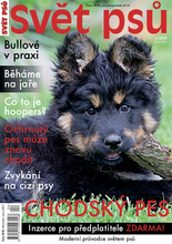 Fotogalerie