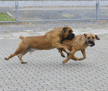 Fotogalerie