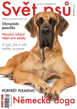 Fotogalerie