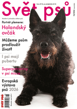 Fotogalerie