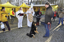 Fotogalerie