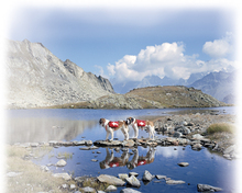 Fotogalerie