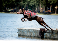 Fotogalerie