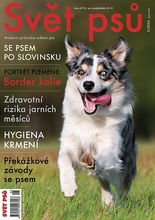 Fotogalerie