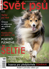 Fotogalerie