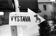 Fotogalerie