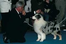 Fotogalerie