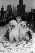 Fotogalerie