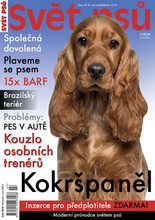 Fotogalerie