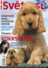Fotogalerie