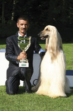 Fotogalerie