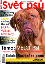 Fotogalerie