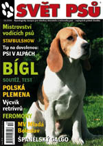 Fotogalerie