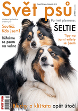 Fotogalerie