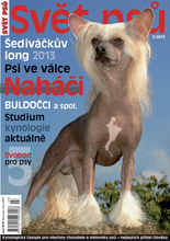 Fotogalerie