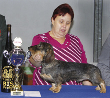 Fotogalerie