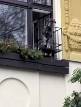 Fotogalerie