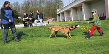Fotogalerie