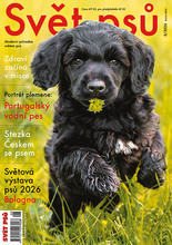 Fotogalerie