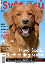 Fotogalerie