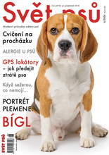 Fotogalerie
