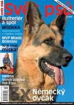 Fotogalerie