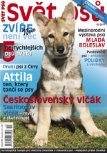 Fotogalerie