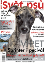 Fotogalerie