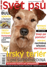 Fotogalerie
