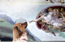 Fotogalerie