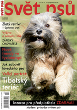 Fotogalerie