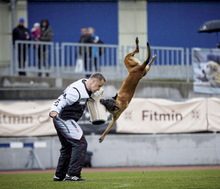 Fotogalerie