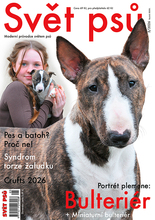 Fotogalerie