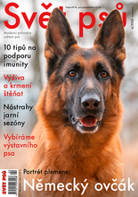 Fotogalerie