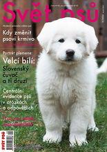 Fotogalerie