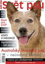 Fotogalerie