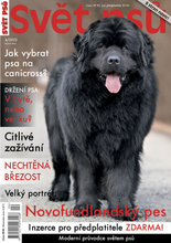 Fotogalerie