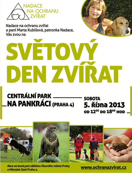 letakDZ