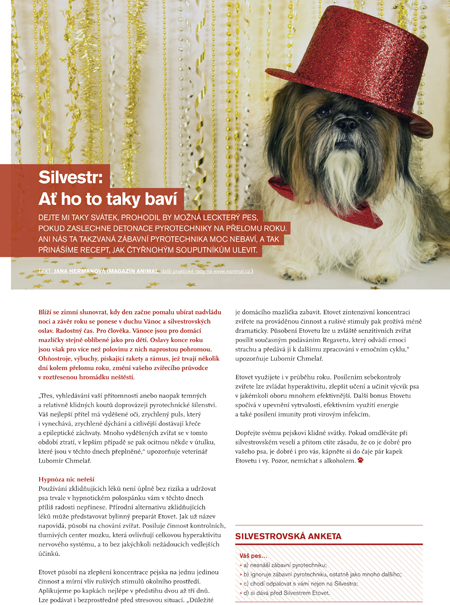 silvestr