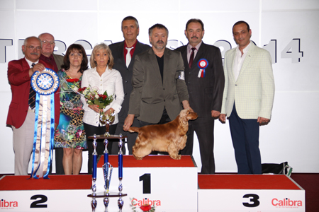 BIS BRNO1